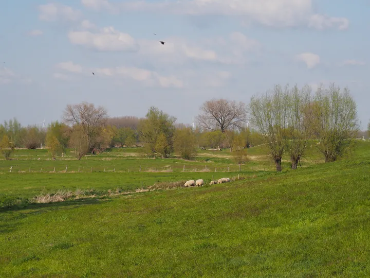 Kalkense Meersen (België)